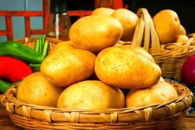 土豆怎么样保存才能不发芽（土豆怎么样保存不发芽）