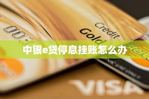 中银e贷停息挂账怎么办