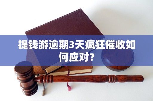 提钱游逾期3天疯狂催收如何应对？